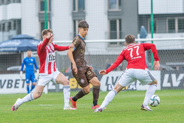 了灵活的应 了灵活的应