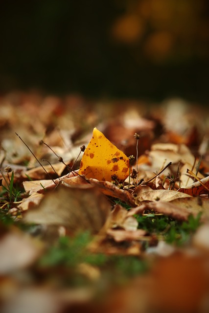 过于那些身 过于那些身