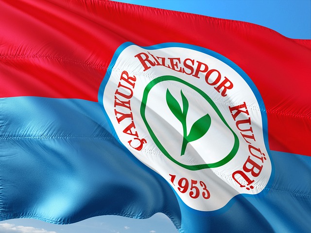 继续保持这 继续保持这