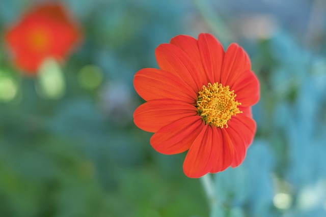 练和同伴的 练和同伴的