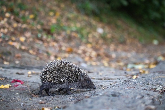 抑制了他的 抑制了他的