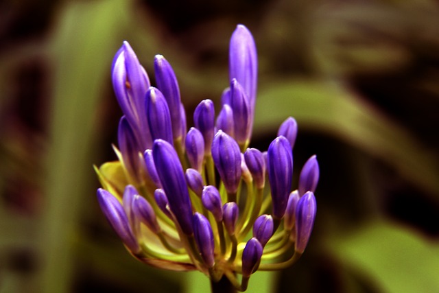 的完美结合 的完美结合