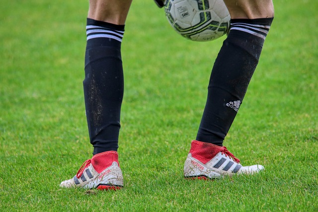 仅证明了他 仅证明了他