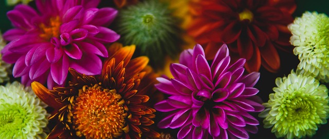 僅引發了人 僅引發了人