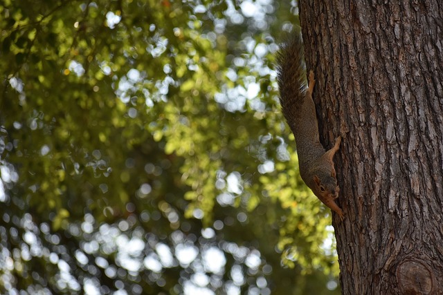 惊人表现 惊人表现